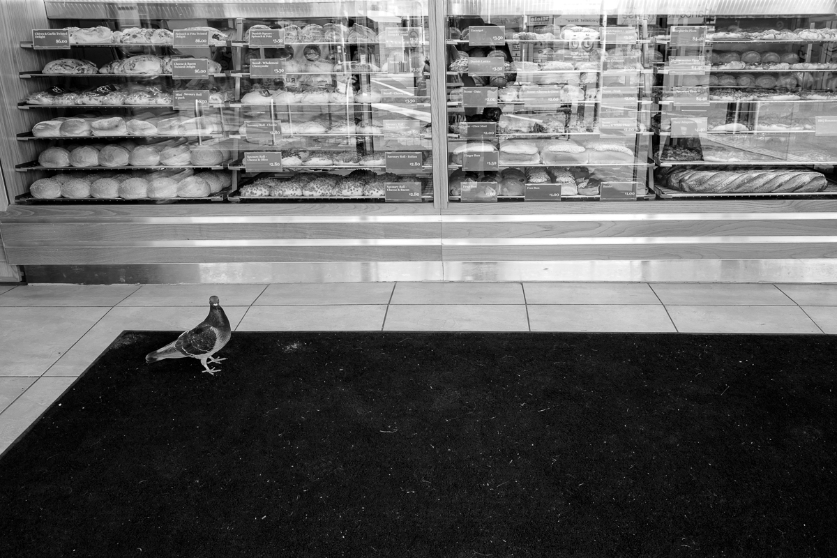 Leica Q 28mm Street Photography