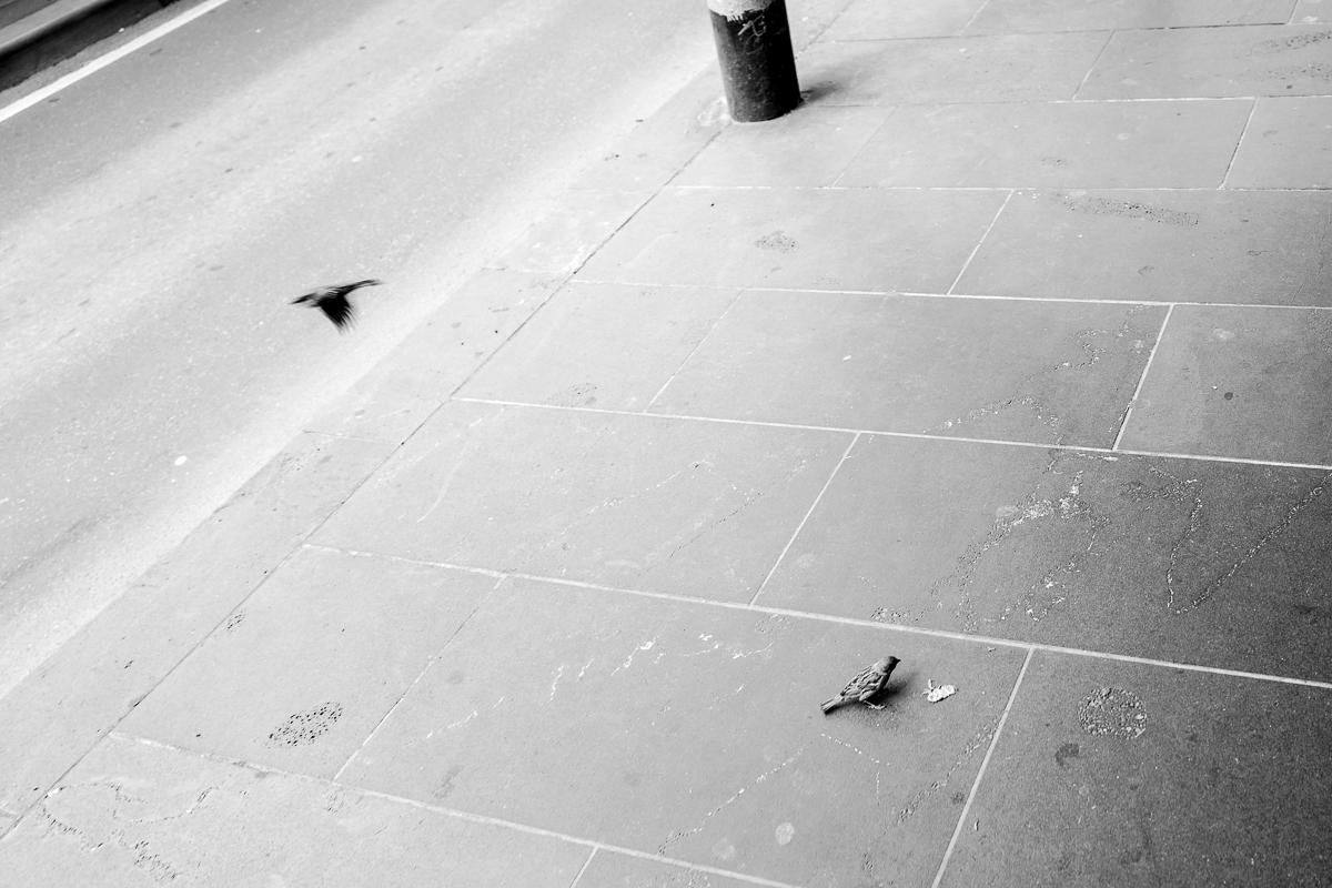 Leica Q 28mm Melbourne Street Photography
