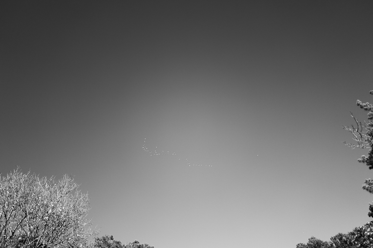 Leica Q 28mm Street Photography