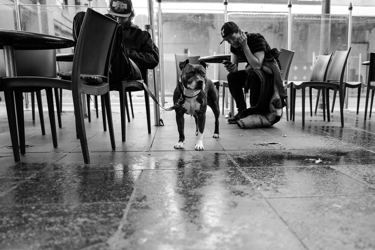 Leica Q 28mm Street Photography