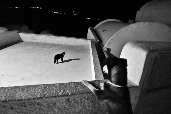 28mm Leica Q Peter Tsipas